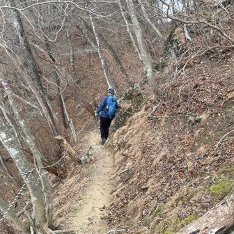 トラロープあり。なかなか急斜面です。