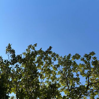空が青いな😪