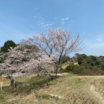 流れるように。