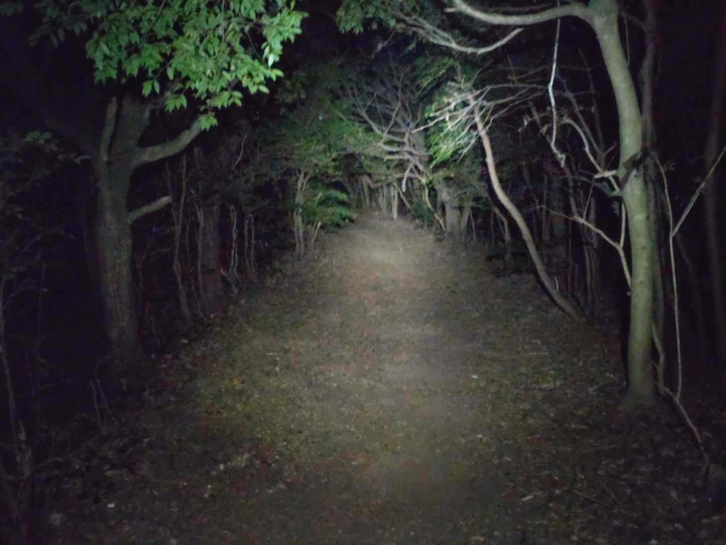 道の駅 田原めっくんはうす からスタートし、ロードを歩いて田原アルプスへ🌃