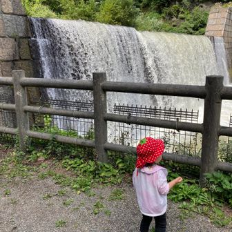 滝よりも石に夢中な我が子(￣▽￣;)
こんなに近くでゴーゴーと水が流れているのに　笑