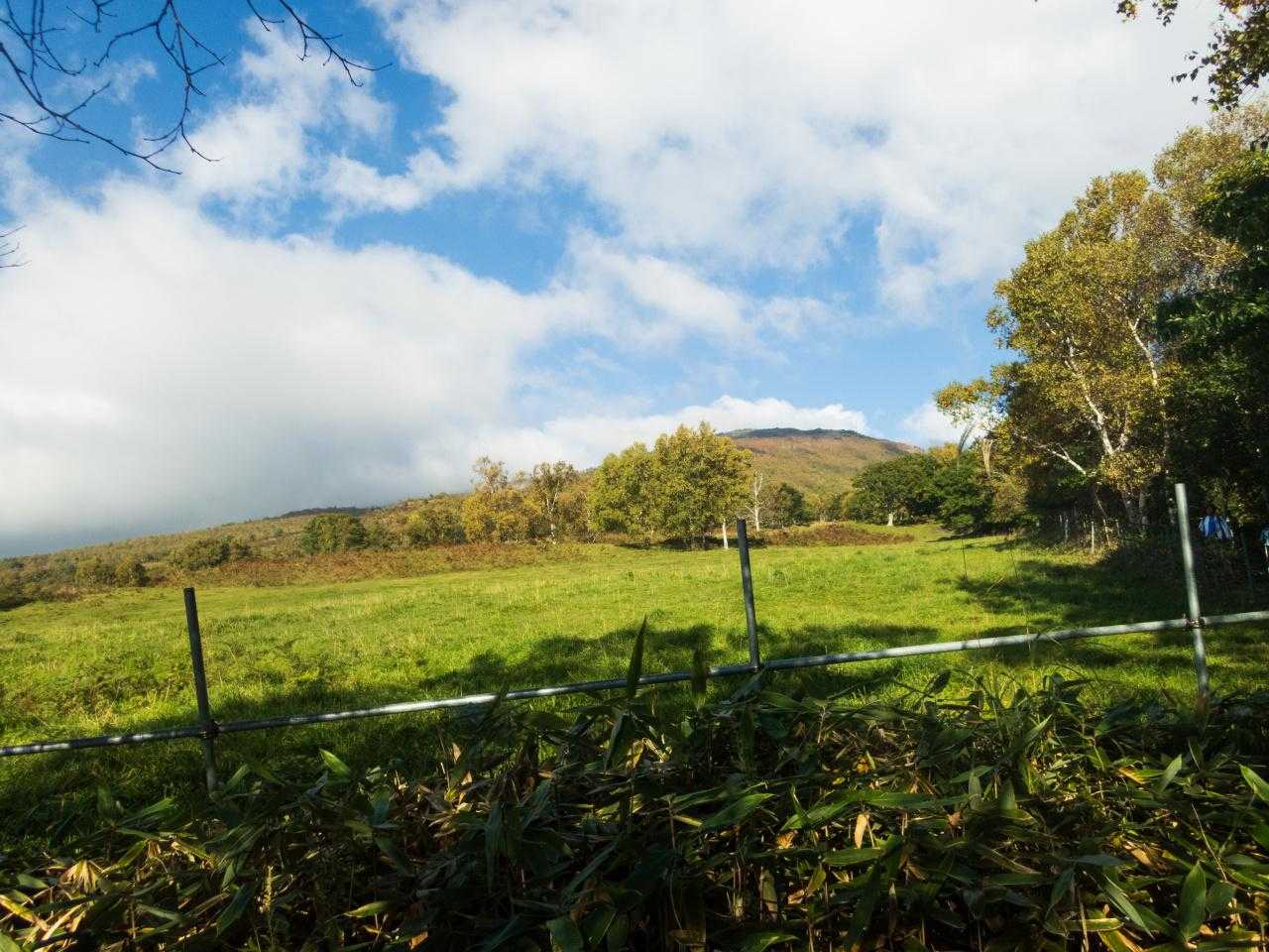 四阿山登山口-小四阿-中四阿 往復コースの写真