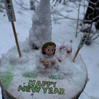 白いヤツがいなーい(´°̥̥̥̥̥̥̥̥ω°̥̥̥̥̥̥̥̥｀)