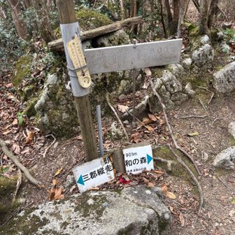 頭巾山
来る途中にタヌキが…