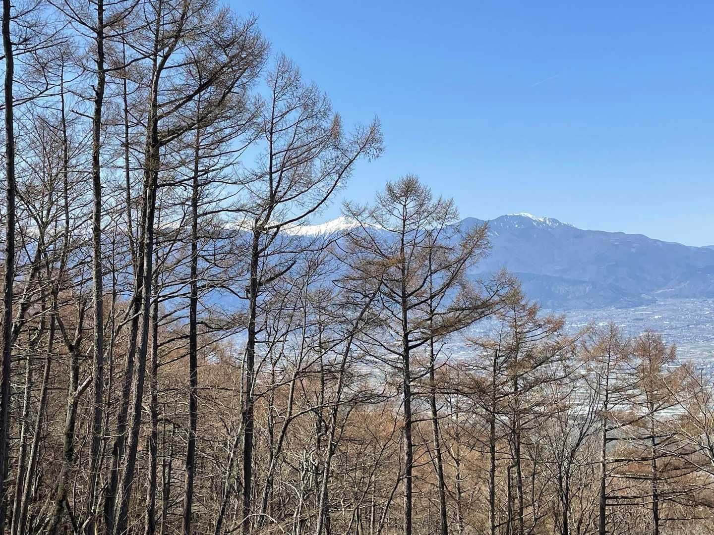 山之神登山口-たいら山 往復コースの写真