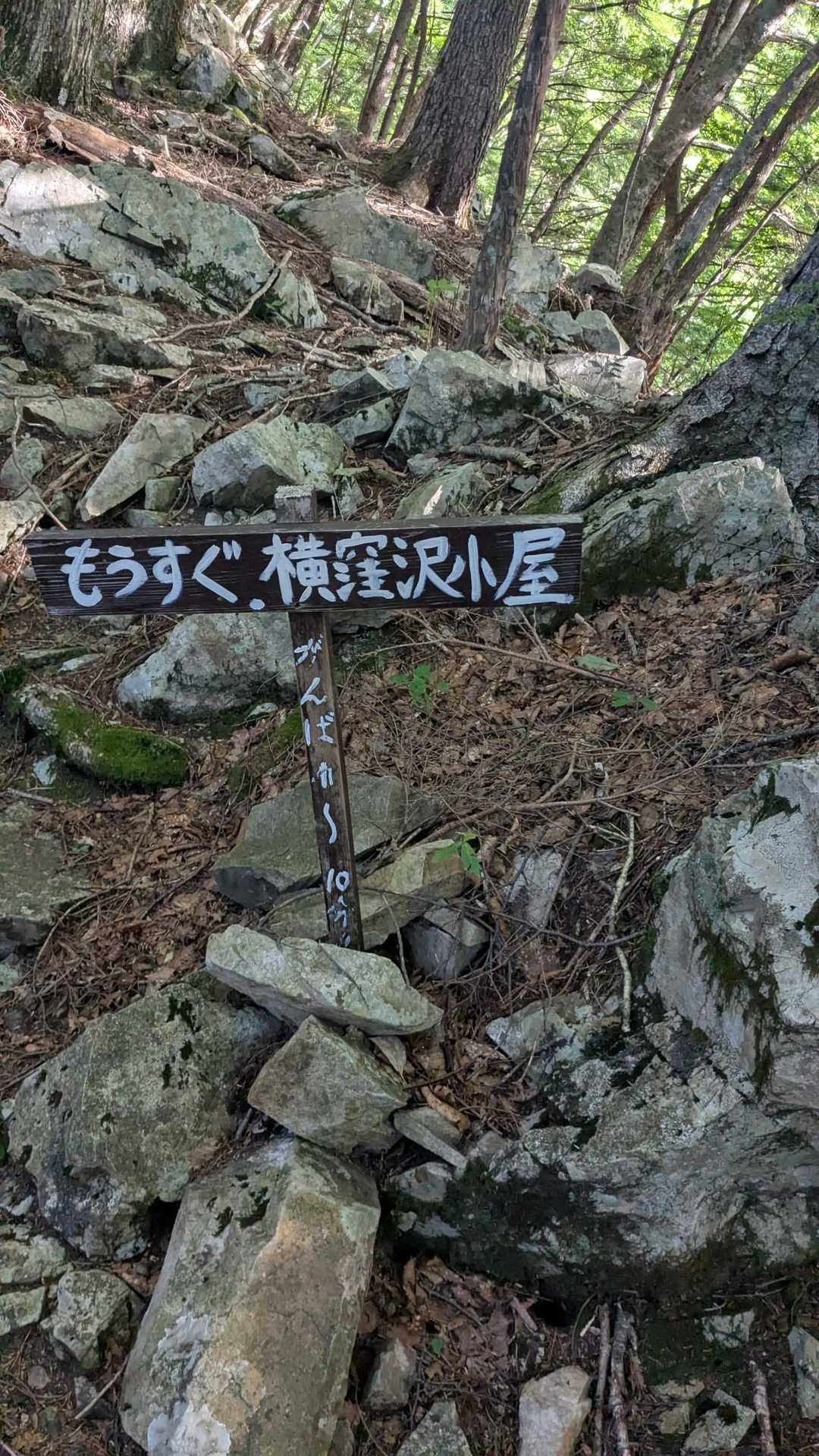 茶臼岳登山口-ヤレヤレ峠-茶臼岳-仁田池-希望峰-易老岳- 往復コースの写真