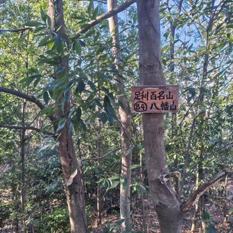 八幡山山頂に到着