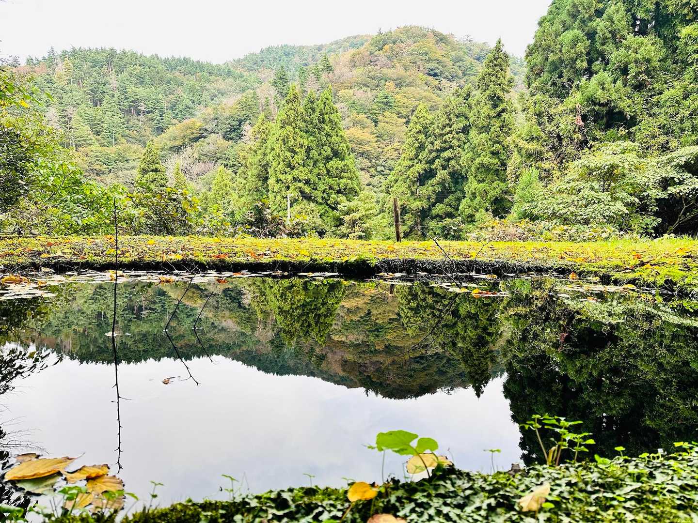 菱ヶ岳（奥村杉菱ヶ岳登山口）＜菱ヶ岳コース＞の写真