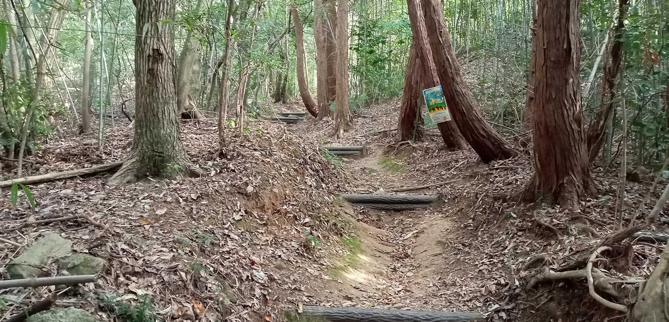 わかりやすい道
