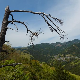 小前の頭で見ることができた風景