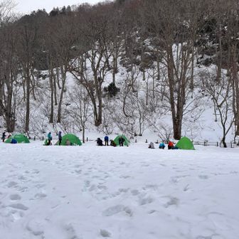 駐車場でテント泊する方々