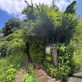 ここで、いったんハイキングコースは終わり
