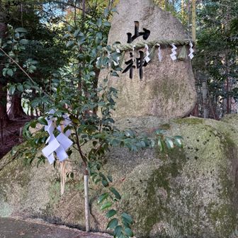 昨年末、ここで参拝してから金運上がりました😊