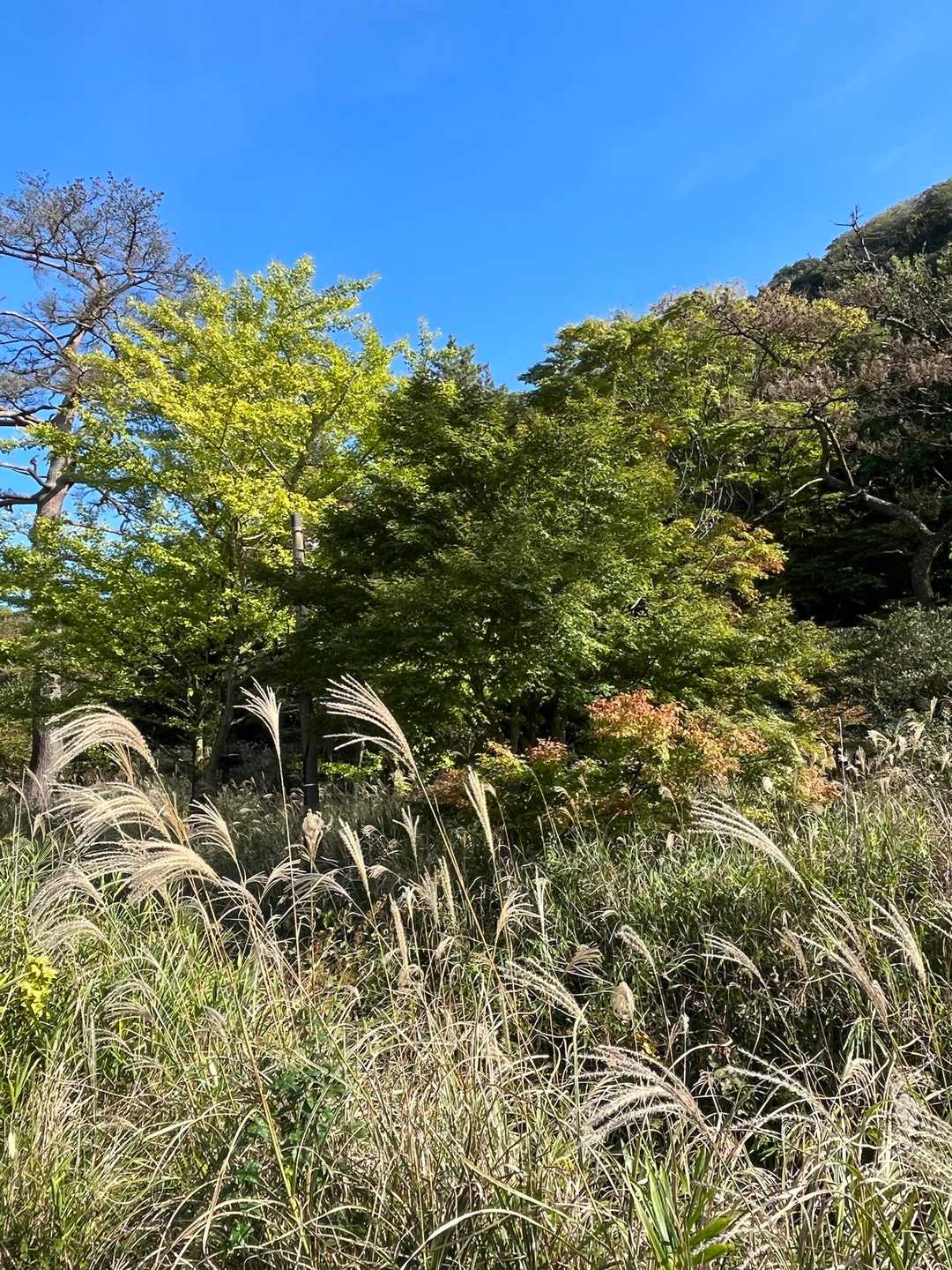 青空と少し紅葉
登山口まであと少し