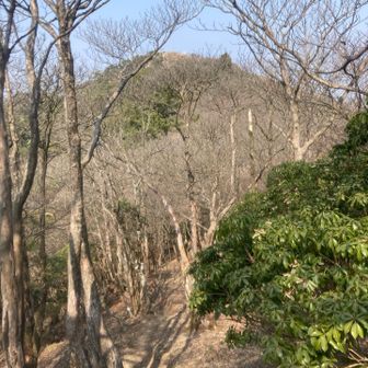 もうすぐ高畑山山頂です。