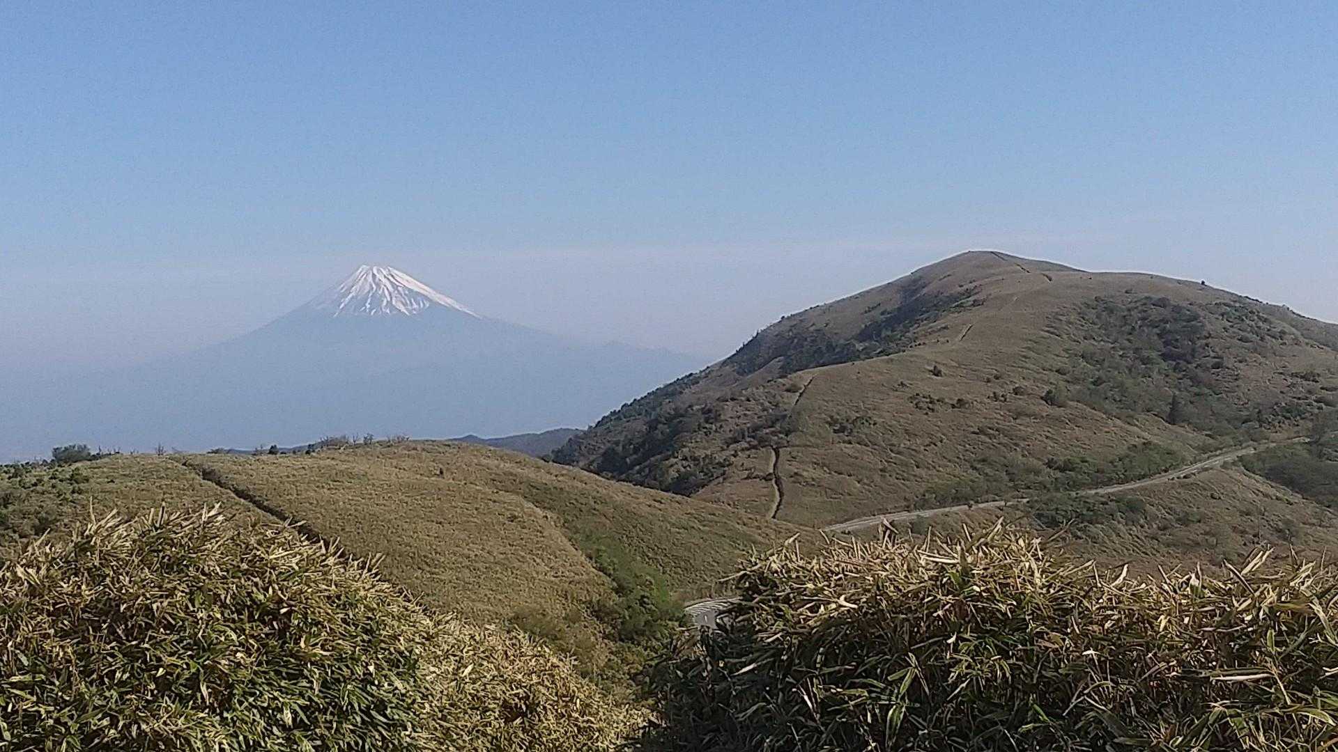 アップで。なんて素晴らしい！
誰もいない山頂ででっかい声でそう言ってみる😄