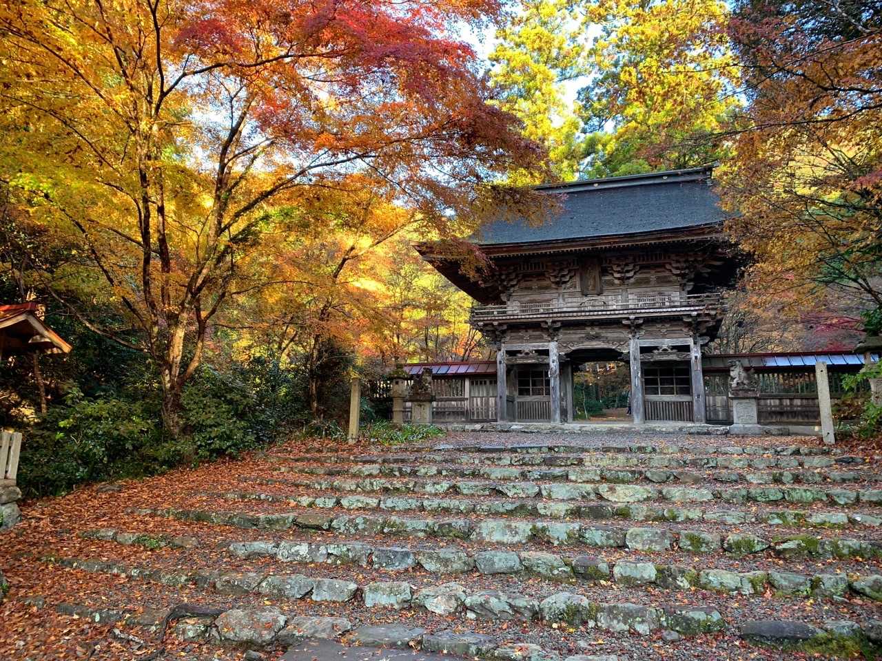 天王山 周回コースの写真