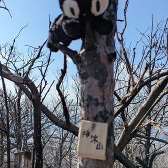 梅ノ木山
元々あった山頂プレートは燃えてしまったみたいです💦