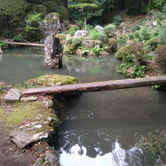 神社裏、庭園の池