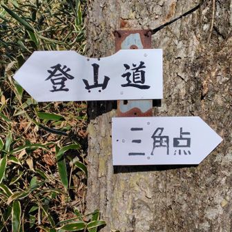 「天空のビーチ🏖️」手前にある日向山山頂に立ち寄ってみる💡