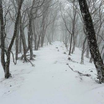 一晩でこんなに変わるとは。