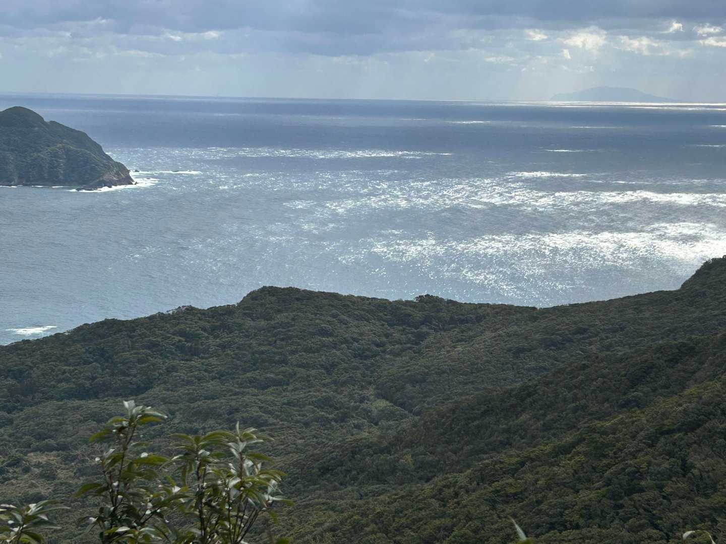 今岳 登山口-今岳-長者山-今藤峠 周回コースの写真