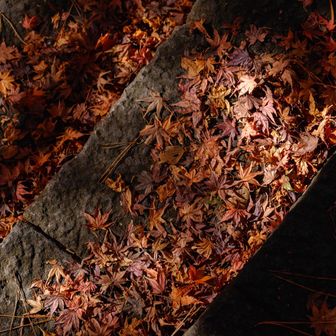 今年もありがとう