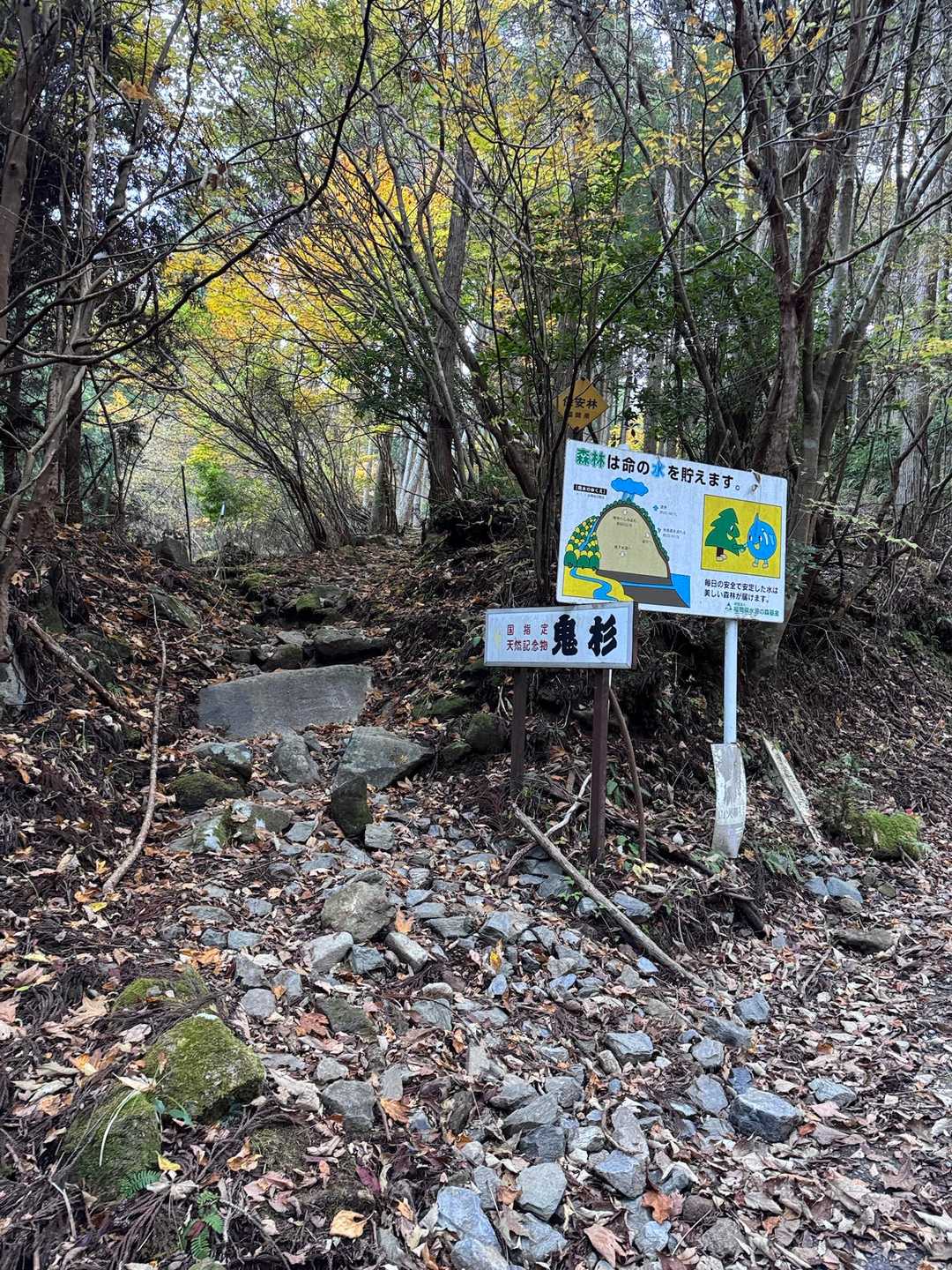 ここから登山道