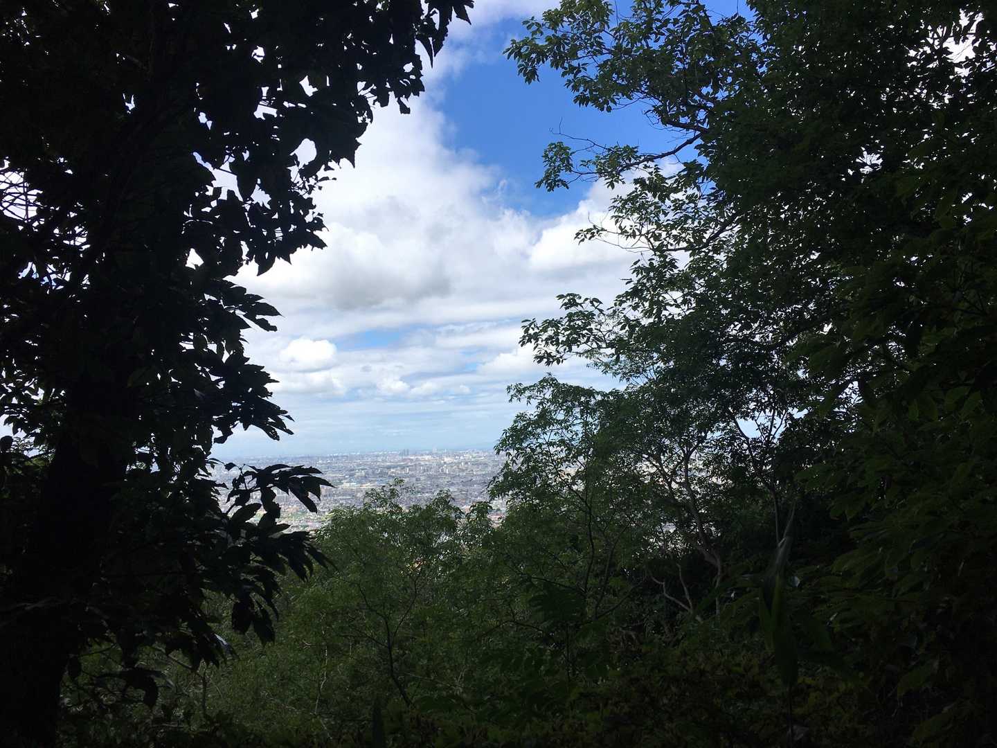 良い天気になった🌞