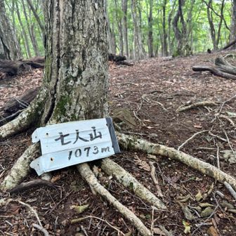 滋賀の方はヤマレコをされている方でした
お互い今日はレポあげるつもりは
無かったですが見つける事ができたので
ピークとってあげないとね！と
同じ事を考えてお別れしました
短い時間でしたがありがとうございました