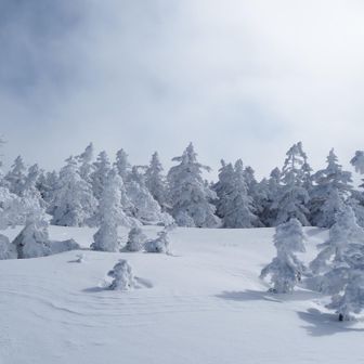 チビスノモン達が出迎えてくれました
