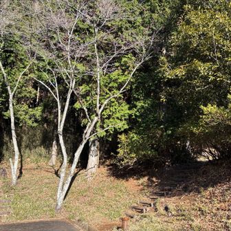 駐車場まで降りてきました