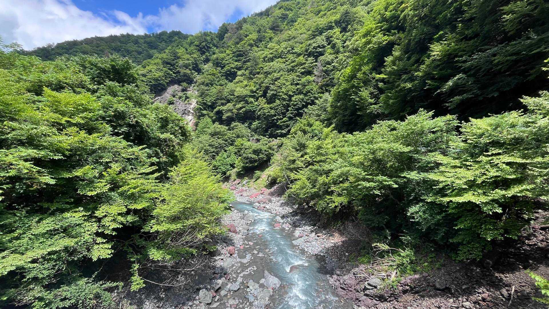 山の下の方はこんなに晴れてるのにねー。
今日も聖岳はガスの中に終始隠れてました。