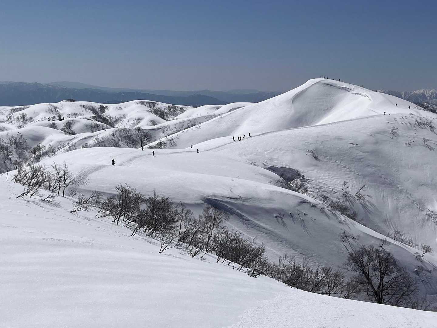 栃谷登山口-片折岳-金剛堂山-中金剛堂山 往復コースの写真