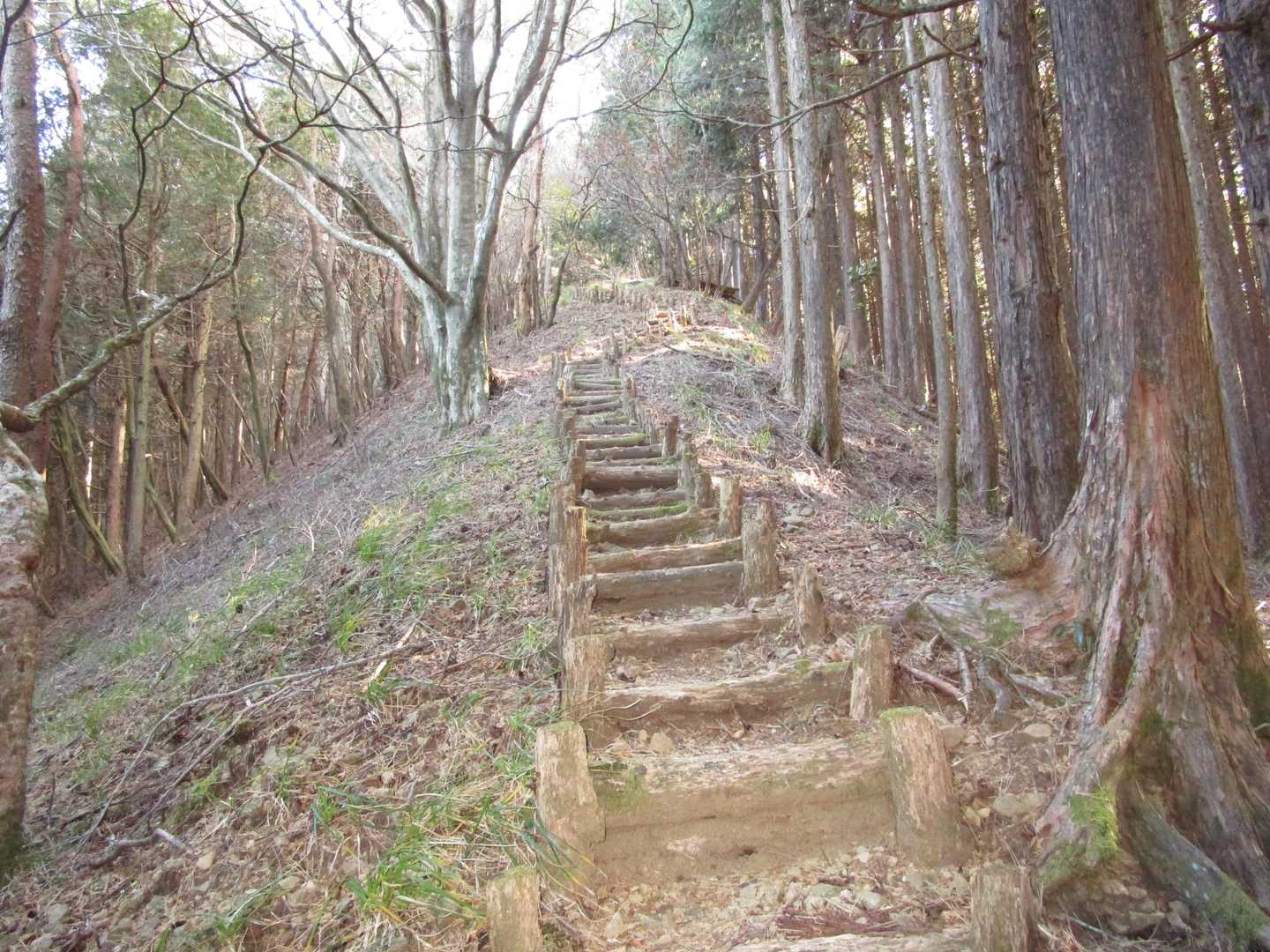 樽峠登山口-樽峠-高ドッキョウ-平治ノ段-貫ヶ岳 周回コースの写真