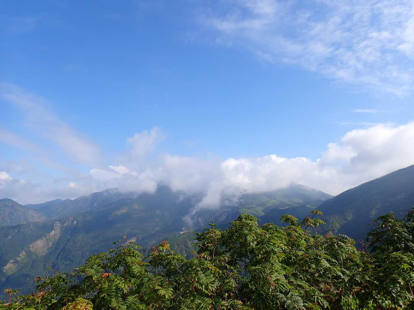 白山は雲の中