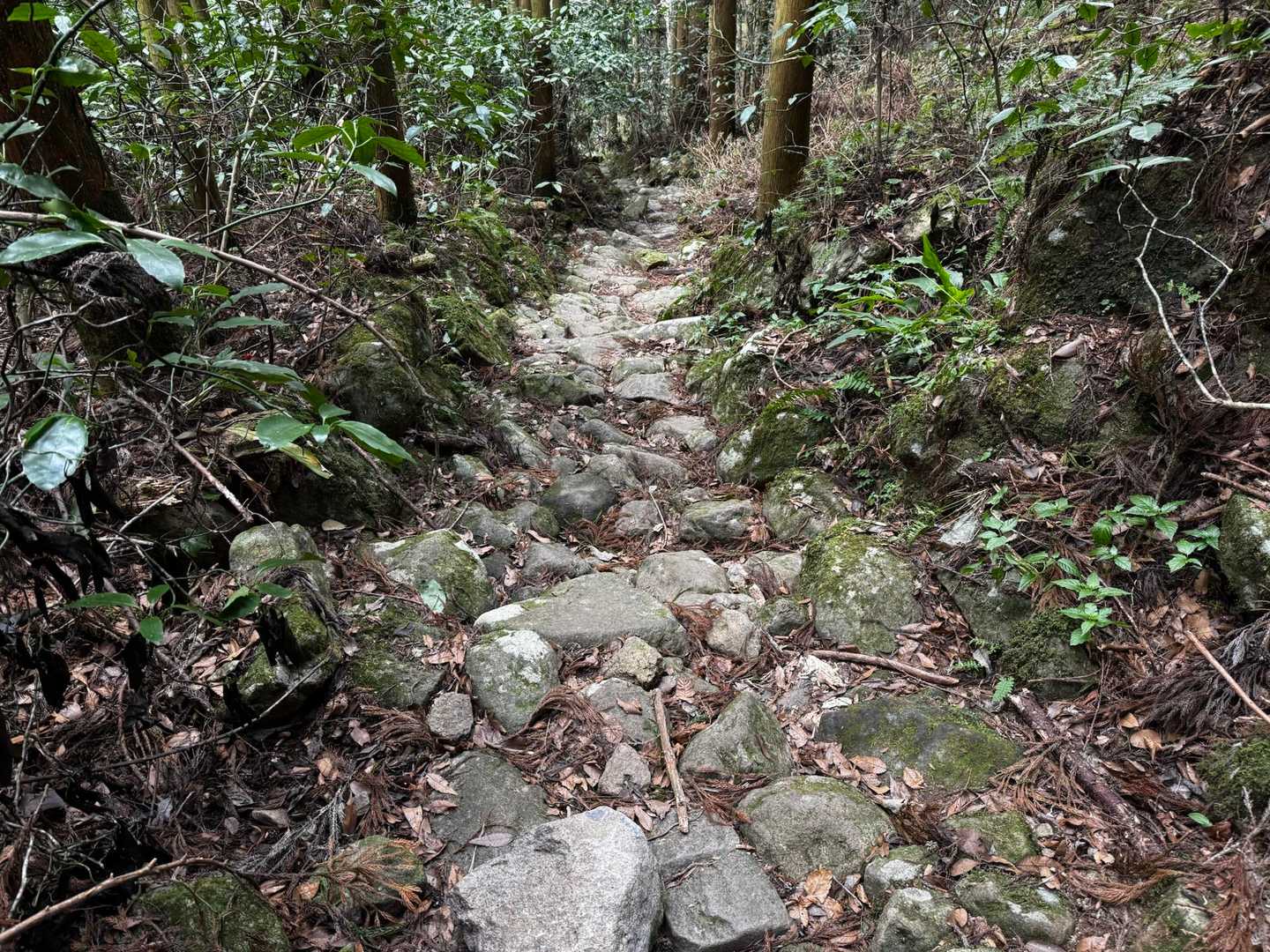 石畳は歩きにくい🪨そして小さな岩は動きます🫨
雨の日は水路になっちゃうんでしょうね⛲️