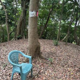 小一足到着🙌
ここのお山にはこの🪑がトレンドなんでしょうか…