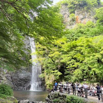 こっちも外国人だらけ😱人が多いのは昔からだけど、十数年ぶりなんで客層の変化に驚いちゃいます🤣