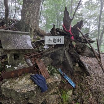 赤岩峠を通過(1,422m)