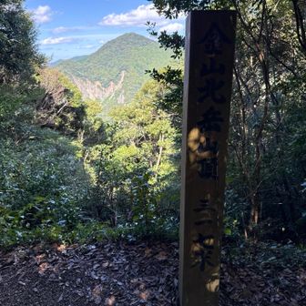 北岳登頂🙌✨
向こうに見える孔大寺山まで行けるか…
悩む🤔