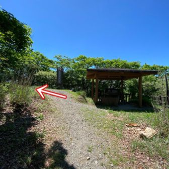 １５分程度で山頂制覇！
東屋があり　休憩ポイントだが、眺望はなし😅

登山ルート：左へ進む

次へと進む🤸‍♂️🤸‍♀️