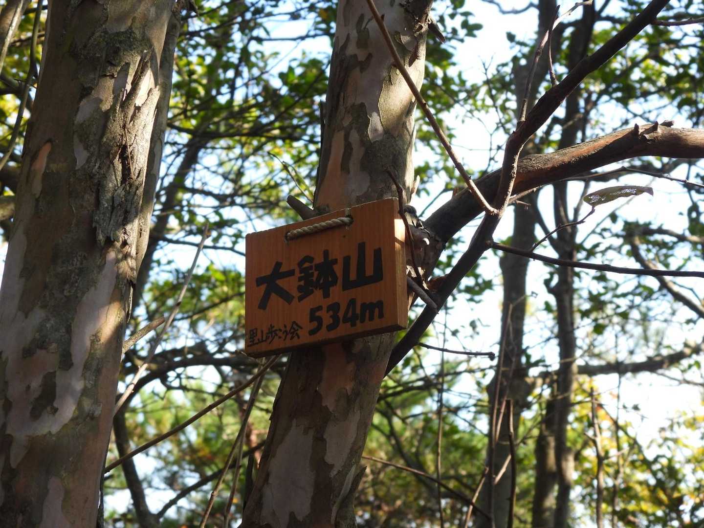 大鉢山👍️