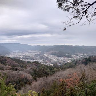街並みがよく見えますね