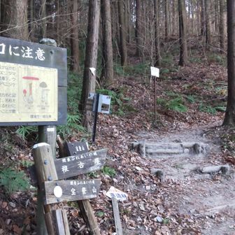 車道が終わり、山道が再開