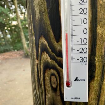 山頂2℃・2日前の温かさとは大違い🥶