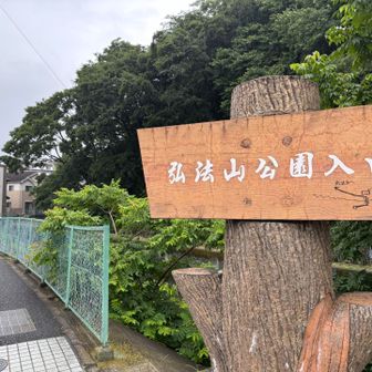 下山してすぐ、雨が降り始めました。ラッキー✌️