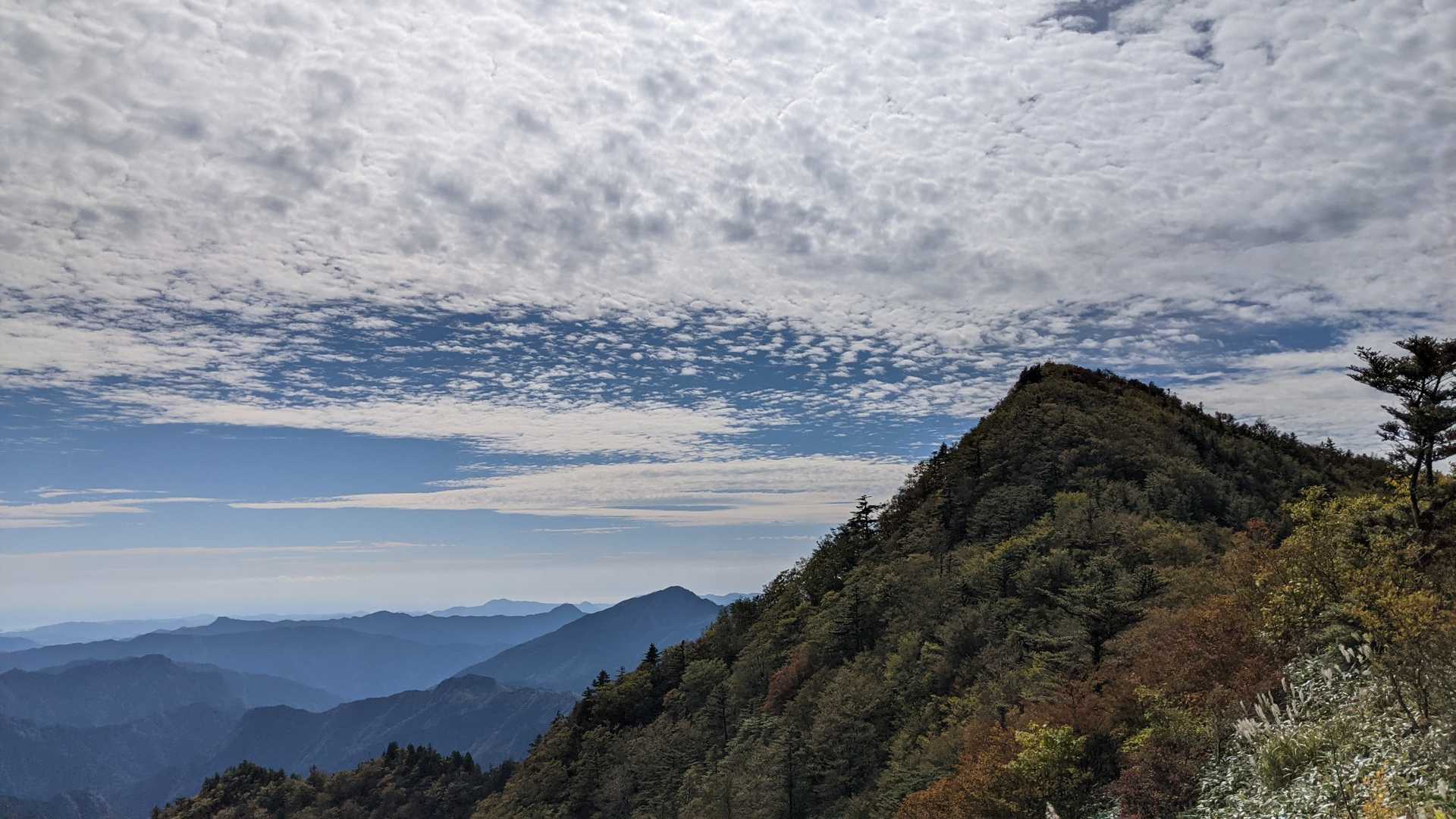 丸笹山（高知県）の写真