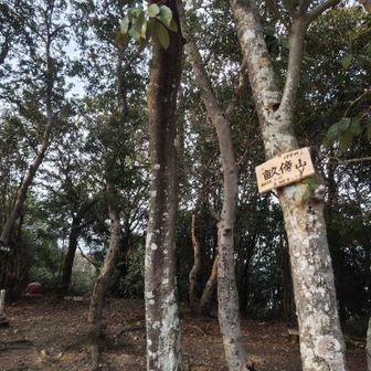 畝傍山山頂②