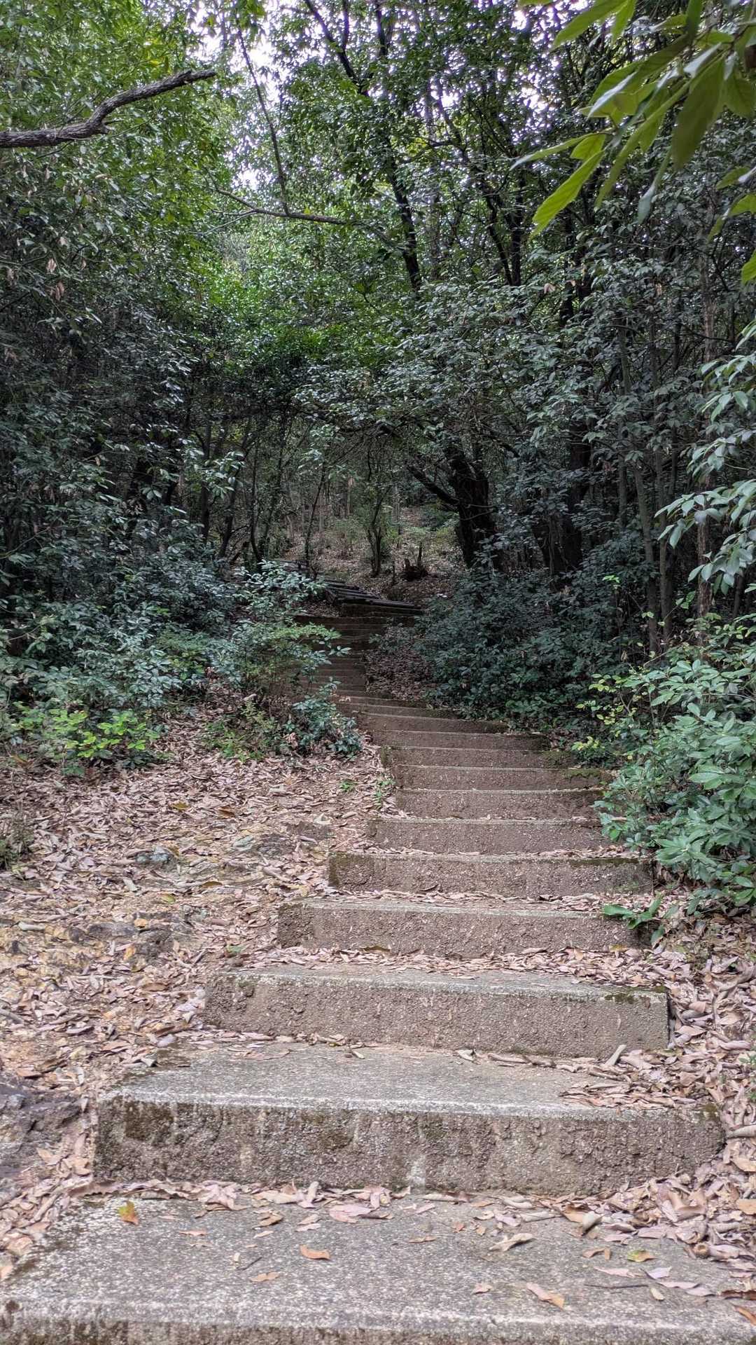 階段多め